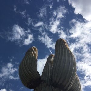 Meet your Posher, Brea